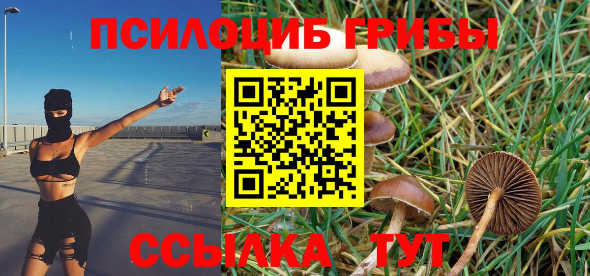 Псилоцибиновые грибы GOLDEN TEACHER Уссурийск