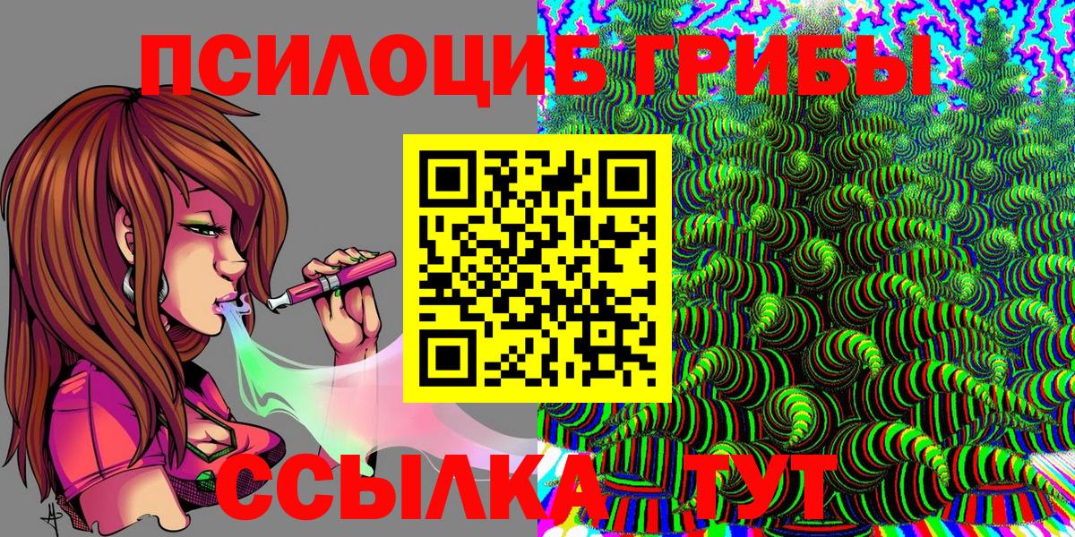 Псилоцибиновые грибы Psilocybe  Вход с VPN  Уссурийск 